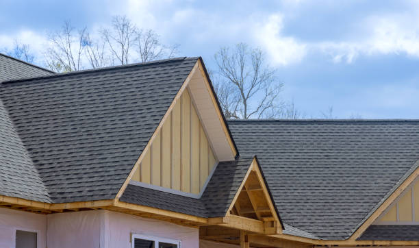 Professional Roofing Service in Mcdonough, GA